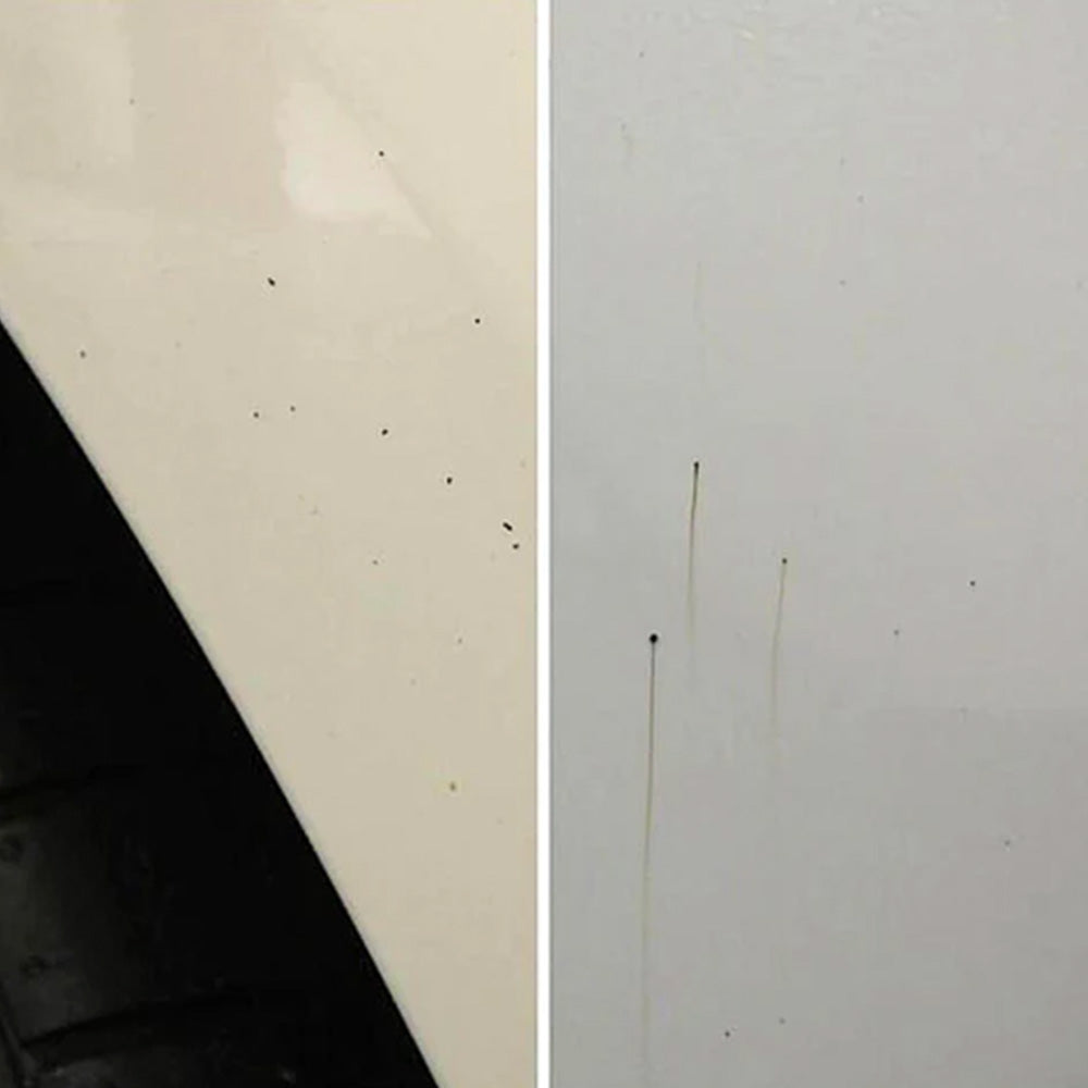tar spots on car body