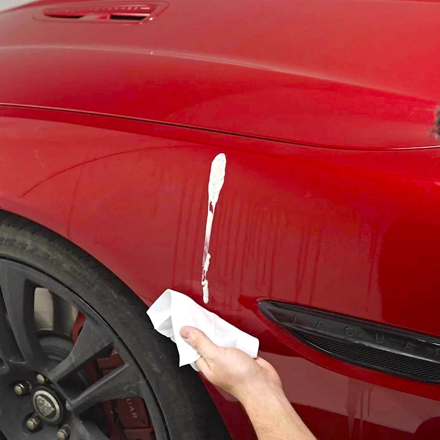 Hand wiping bird dropping off car using wipe